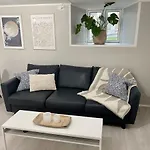 One Bedroom Basement Apartment In The City