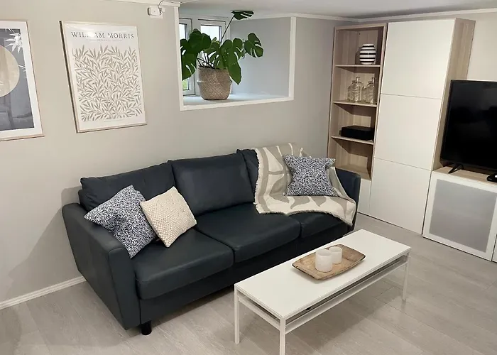 One Bedroom Basement Apartment In The City