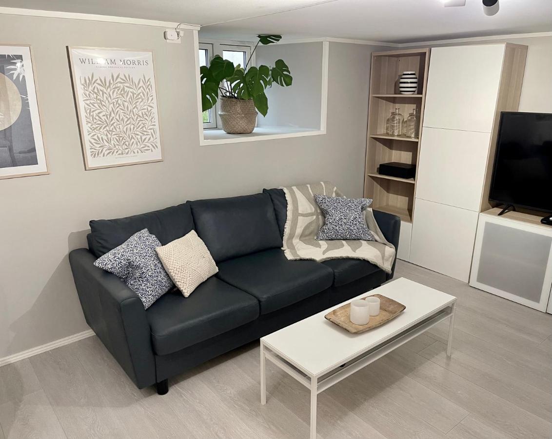 One Bedroom Basement In The Appartement *
