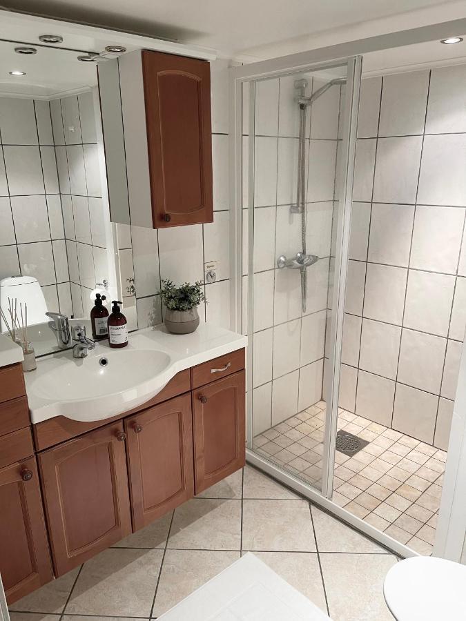 One Bedroom Basement In The Appartement